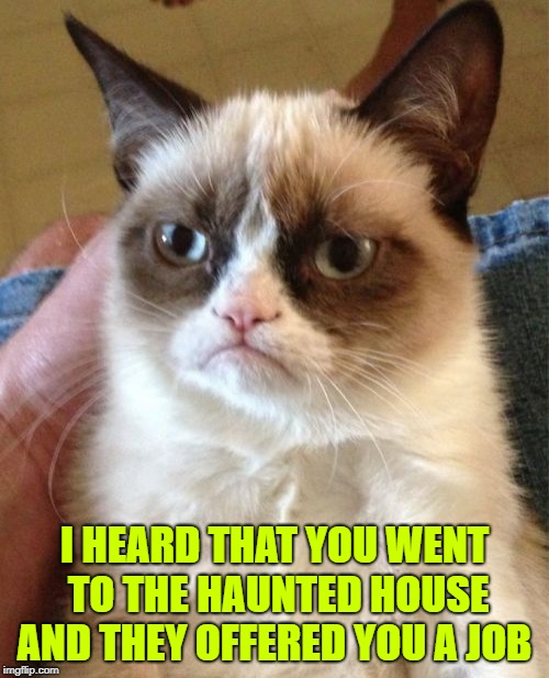 Grumpy Cat Meme | I HEARD THAT YOU WENT TO THE HAUNTED HOUSE AND THEY OFFERED YOU A JOB | image tagged in memes,grumpy cat | made w/ Imgflip meme maker