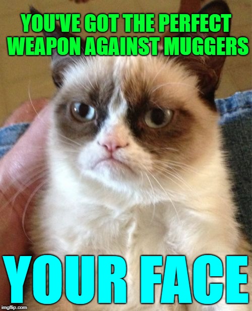 Grumpy Cat | YOU'VE GOT THE PERFECT WEAPON AGAINST MUGGERS; YOUR FACE | image tagged in memes,grumpy cat | made w/ Imgflip meme maker