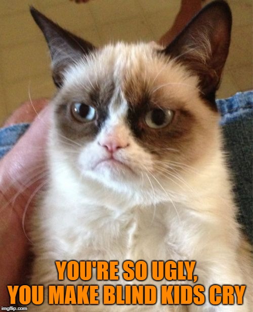 Grumpy Cat Meme | YOU'RE SO UGLY, YOU MAKE BLIND KIDS CRY | image tagged in memes,grumpy cat | made w/ Imgflip meme maker