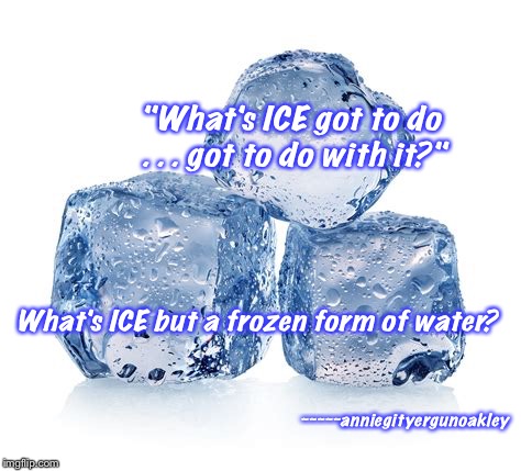 The Lunar Left | "What's ICE got to do . . . got to do with it?"; What's ICE but a frozen form of water? ~~~~~anniegityergunoakley | image tagged in memes,ice,kavanaugh | made w/ Imgflip meme maker