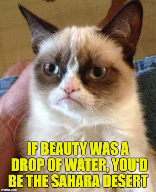 Grumpy Cat Meme | IF BEAUTY WAS A DROP OF WATER, YOU'D BE THE SAHARA DESERT | image tagged in memes,grumpy cat | made w/ Imgflip meme maker