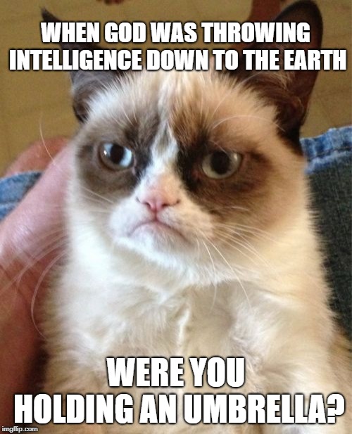 Grumpy Cat | WHEN GOD WAS THROWING INTELLIGENCE DOWN TO THE EARTH; WERE YOU HOLDING AN UMBRELLA? | image tagged in memes,grumpy cat | made w/ Imgflip meme maker