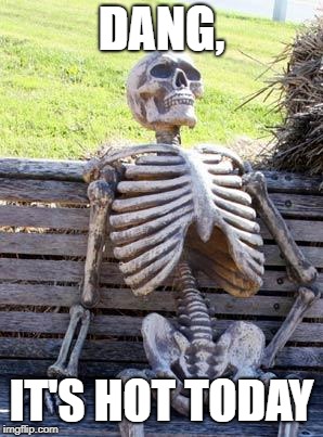 Waiting Skeleton Meme | DANG, IT'S HOT TODAY | image tagged in memes,waiting skeleton | made w/ Imgflip meme maker