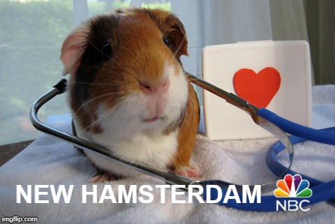 "How can I help?" | NEW HAMSTERDAM | image tagged in tv show,hamster,nbc | made w/ Imgflip meme maker