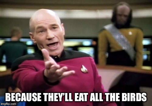 Picard Wtf Meme | BECAUSE THEY’LL EAT ALL THE BIRDS | image tagged in memes,picard wtf | made w/ Imgflip meme maker