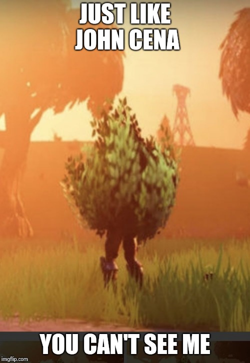 It's a reference | JUST LIKE JOHN CENA; YOU CAN'T SEE ME | image tagged in fortnite bush | made w/ Imgflip meme maker
