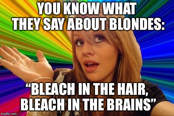Dumb Blonde | YOU KNOW WHAT THEY SAY ABOUT BLONDES:; “BLEACH IN THE HAIR, BLEACH IN THE BRAINS” | image tagged in memes,dumb blonde | made w/ Imgflip meme maker
