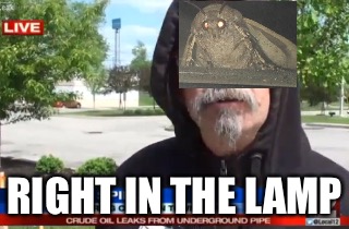 RIGHT IN THE LAMP | image tagged in lamp,i love lamp,moth | made w/ Imgflip meme maker