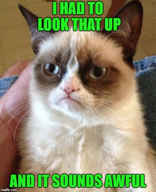 Grumpy Cat Meme | I HAD TO LOOK THAT UP AND IT SOUNDS AWFUL | image tagged in memes,grumpy cat | made w/ Imgflip meme maker