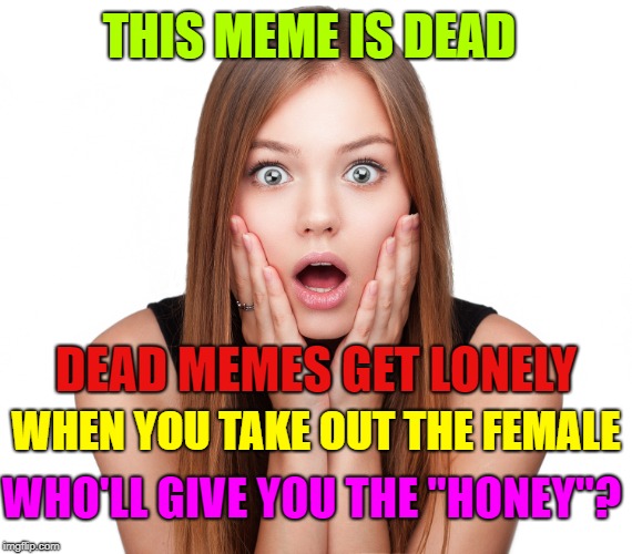 Craziness Shocked Female | THIS MEME IS DEAD DEAD MEMES GET LONELY WHEN YOU TAKE OUT THE FEMALE WHO'LL GIVE YOU THE "HONEY"? | image tagged in craziness shocked female | made w/ Imgflip meme maker