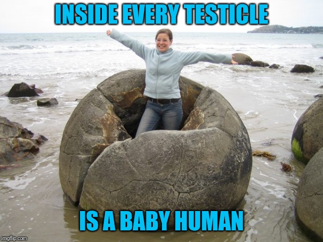 Little Wigglers | INSIDE EVERY TESTICLE; IS A BABY HUMAN | image tagged in boulders for balls | made w/ Imgflip meme maker