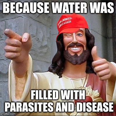 Buddy Christ Meme | BECAUSE WATER WAS FILLED WITH PARASITES AND DISEASE | image tagged in memes,buddy christ | made w/ Imgflip meme maker