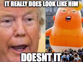 one of the most accurate comparisons I have ever seen | IT REALLY DOES LOOK LIKE HIM; DOESNT IT | image tagged in memes,funny,donald trump,trump meme,comparison | made w/ Imgflip meme maker