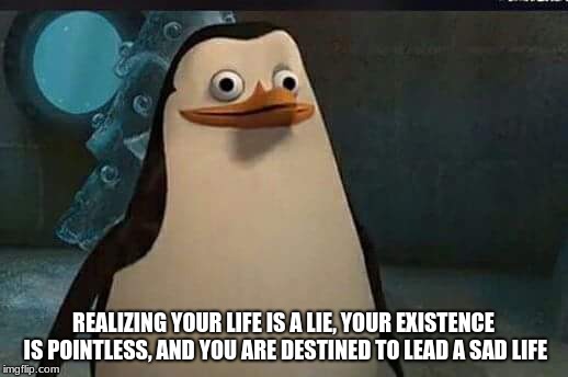 Madagascar penguin | REALIZING YOUR LIFE IS A LIE, YOUR EXISTENCE IS POINTLESS, AND YOU ARE DESTINED TO LEAD A SAD LIFE | image tagged in madagascar penguin | made w/ Imgflip meme maker