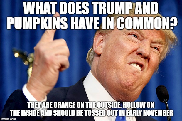 Donald Trump | WHAT DOES TRUMP AND PUMPKINS HAVE IN COMMON? THEY ARE ORANGE ON THE OUTSIDE, HOLLOW ON THE INSIDE AND SHOULD BE TOSSED OUT IN EARLY NOVEMBER | image tagged in donald trump | made w/ Imgflip meme maker