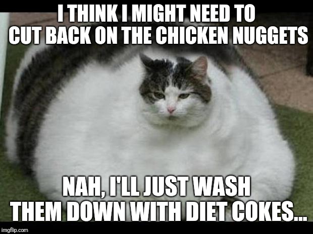 fat cat 2 | I THINK I MIGHT NEED TO CUT BACK ON THE CHICKEN NUGGETS; NAH, I'LL JUST WASH THEM DOWN WITH DIET COKES... | image tagged in fat cat 2 | made w/ Imgflip meme maker