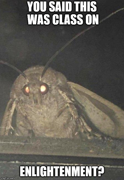 Moth | YOU SAID THIS WAS CLASS ON; ENLIGHTENMENT? | image tagged in moth | made w/ Imgflip meme maker