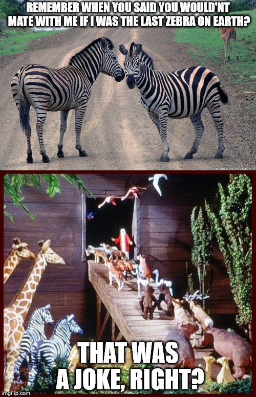 What if the two animals choose, didn't like each other?  | REMEMBER WHEN YOU SAID YOU WOULD'NT MATE WITH ME IF I WAS THE LAST ZEBRA ON EARTH? THAT WAS A JOKE, RIGHT? | image tagged in noah's ark | made w/ Imgflip meme maker
