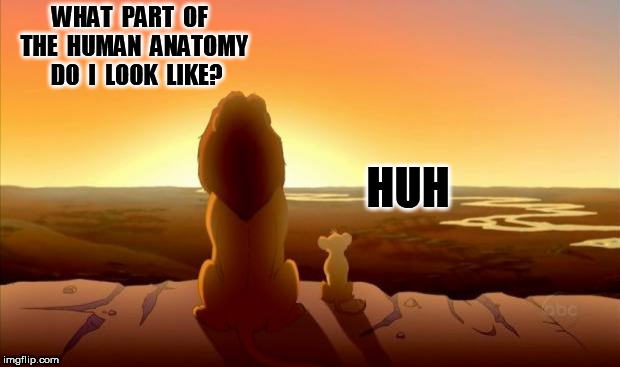 MUFASA AND SIMBA | WHAT  PART  OF  THE  HUMAN  ANATOMY  DO  I  LOOK  LIKE? HUH | image tagged in mufasa and simba | made w/ Imgflip meme maker