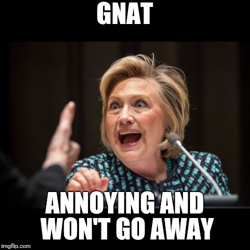 Hillary Clinton | GNAT; ANNOYING AND WON'T GO AWAY | image tagged in hillary clinton | made w/ Imgflip meme maker