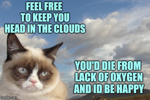 Can't wait for people to correct my science on this one. |  FEEL FREE TO KEEP YOU HEAD IN THE CLOUDS; YOU'D DIE FROM LACK OF OXYGEN AND ID BE HAPPY | image tagged in memes,grumpy cat sky,grumpy cat,clouds | made w/ Imgflip meme maker