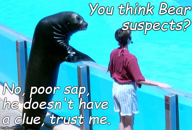 Seal gets the girl | You think Bear     suspects? No, poor sap, he doesn't have a clue, trust me. | image tagged in seal gets the girl | made w/ Imgflip meme maker