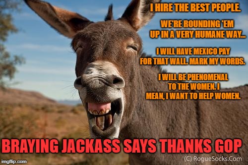 "Braying Jackass" Thanks the GOP | I HIRE THE BEST PEOPLE. WE'RE ROUNDING 'EM UP IN A VERY HUMANE WAY... I WILL HAVE MEXICO PAY FOR THAT WALL. MARK MY WORDS. I WILL BE PHENOMENAL TO THE WOMEN. I MEAN, I WANT TO HELP WOMEN. BRAYING JACKASS SAYS THANKS GOP | image tagged in braying jackass,ass,bray,trump,potus,gop | made w/ Imgflip meme maker