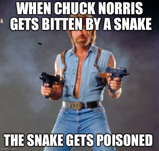 Chuck Norris Guns | WHEN CHUCK NORRIS GETS BITTEN BY A SNAKE; THE SNAKE GETS POISONED | image tagged in memes,chuck norris guns,chuck norris | made w/ Imgflip meme maker