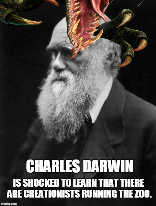 Charles Darwin At The Zoo | CHARLES DARWIN; IS SHOCKED TO LEARN THAT THERE ARE CREATIONISTS RUNNING THE ZOO. | image tagged in charles darwin,creationism,dinosaur,darwin,eaten,charles darwin at the zoo | made w/ Imgflip meme maker