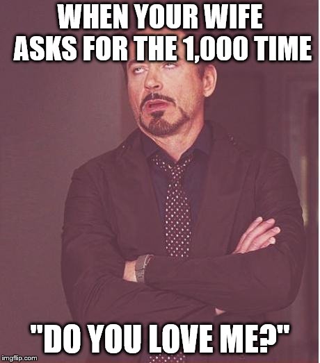 Face You Make Robert Downey Jr Meme | WHEN YOUR WIFE ASKS FOR THE 1,000 TIME; "DO YOU LOVE ME?" | image tagged in memes,face you make robert downey jr | made w/ Imgflip meme maker