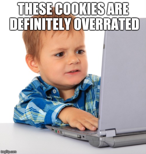 Confused kid on the net | THESE COOKIES ARE DEFINITELY OVERRATED | image tagged in confused kid on the net | made w/ Imgflip meme maker