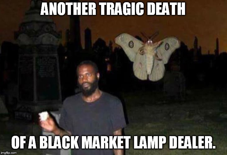 sneak attack moth ANOTHER TRAGIC DEATH; OF A BLACK MARKET LAMP DEALER. imag...