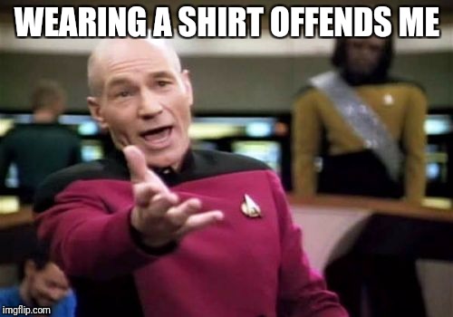 Picard Wtf Meme | WEARING A SHIRT OFFENDS ME | image tagged in memes,picard wtf | made w/ Imgflip meme maker