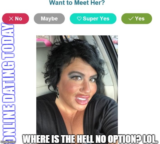 ONLINE DATING TODAY; WHERE IS THE HELL NO OPTION?
LOL. | image tagged in online dating | made w/ Imgflip meme maker