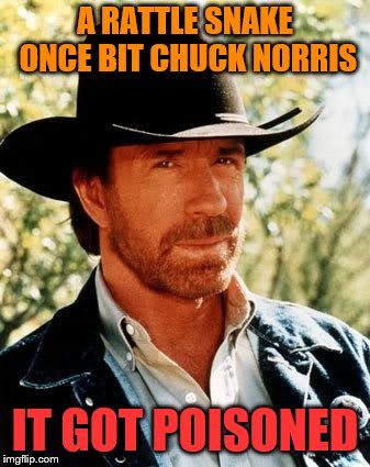 Chuck Norris Meme | A RATTLE SNAKE ONCE BIT CHUCK NORRIS; IT GOT POISONED | image tagged in memes,chuck norris | made w/ Imgflip meme maker