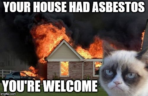 They were going to sell the house anyway... in another 20 years. | YOUR HOUSE HAD ASBESTOS; YOU'RE WELCOME | image tagged in memes,burn kitty,grumpy cat,asbestos | made w/ Imgflip meme maker