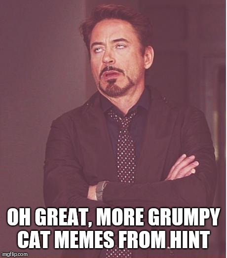 Face You Make Robert Downey Jr Meme | OH GREAT, MORE GRUMPY CAT MEMES FROM HINT | image tagged in memes,face you make robert downey jr | made w/ Imgflip meme maker