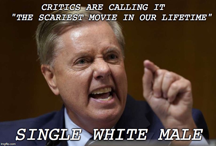 Angry Lindsey Graham | CRITICS ARE CALLING IT   "THE SCARIEST MOVIE IN OUR LIFETIME"; SINGLE WHITE MALE | image tagged in brett kavanaugh,lindsey graham,american politics,movies | made w/ Imgflip meme maker