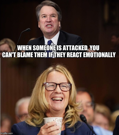 The real attack | WHEN SOMEONE IS ATTACKED, YOU CAN'T BLAME THEM IF THEY REACT EMOTIONALLY | image tagged in kavanaugh | made w/ Imgflip meme maker