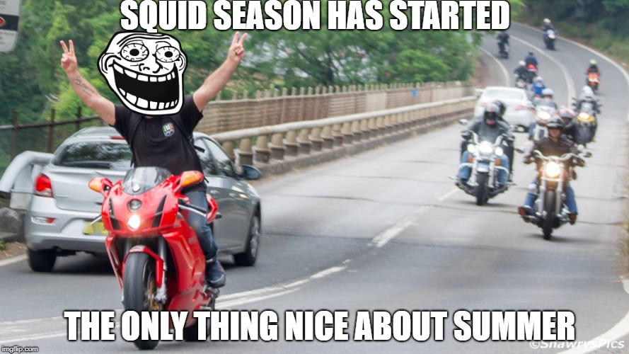 Squid time |  SQUID SEASON HAS STARTED; THE ONLY THING NICE ABOUT SUMMER | image tagged in summer riding,motorbike riding,squid,ride my bike,anit power ranger | made w/ Imgflip meme maker