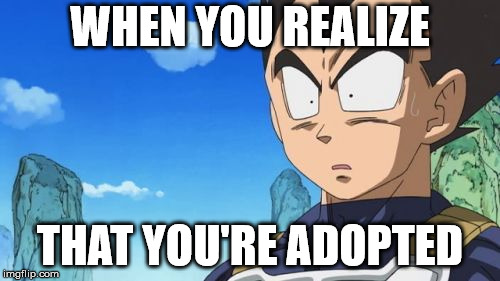 Surprized Vegeta | WHEN YOU REALIZE; THAT YOU'RE ADOPTED | image tagged in memes,surprized vegeta | made w/ Imgflip meme maker