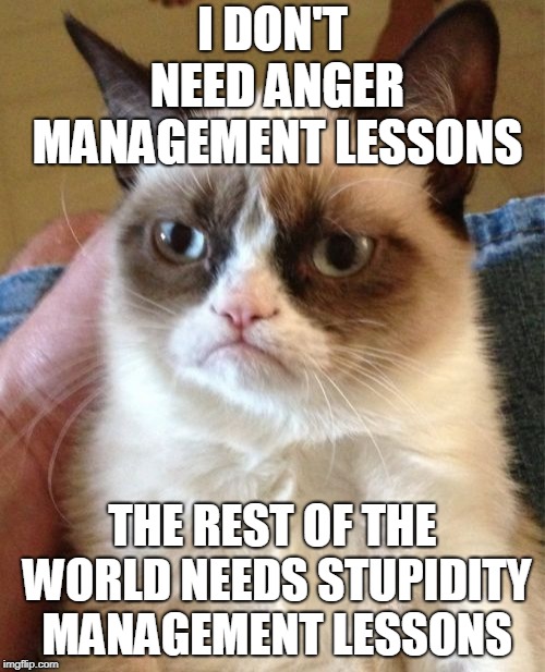 Grumpy Cat Meme | I DON'T NEED ANGER MANAGEMENT LESSONS; THE REST OF THE WORLD NEEDS STUPIDITY MANAGEMENT LESSONS | image tagged in memes,grumpy cat | made w/ Imgflip meme maker