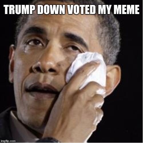 Crying Obama | TRUMP DOWN VOTED MY MEME | image tagged in crying obama | made w/ Imgflip meme maker