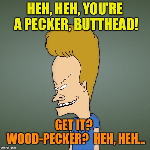 HEH, HEH, YOU’RE A PECKER, BUTTHEAD! GET IT?  WOOD-PECKER?  HEH, HEH... | made w/ Imgflip meme maker