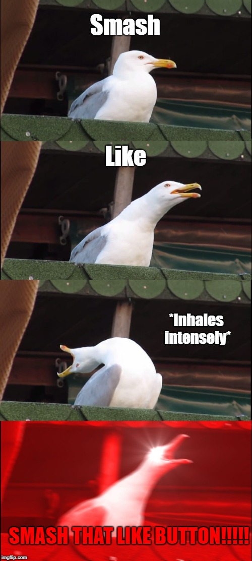 Inhaling Seagull | Smash; Like; *Inhales intensely*; SMASH THAT LIKE BUTTON!!!!! | image tagged in memes,inhaling seagull | made w/ Imgflip meme maker