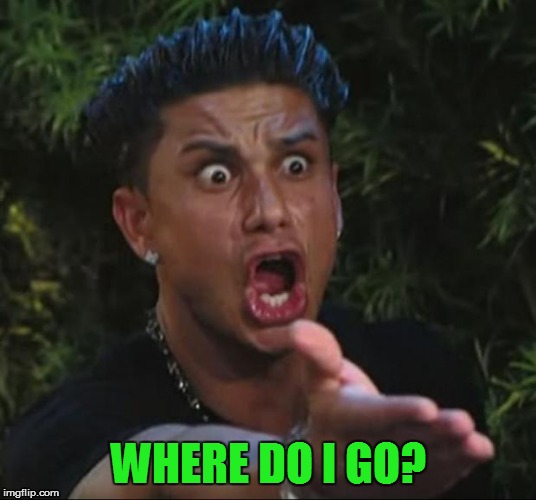 DJ Pauly D Meme | WHERE DO I GO? | image tagged in memes,dj pauly d | made w/ Imgflip meme maker