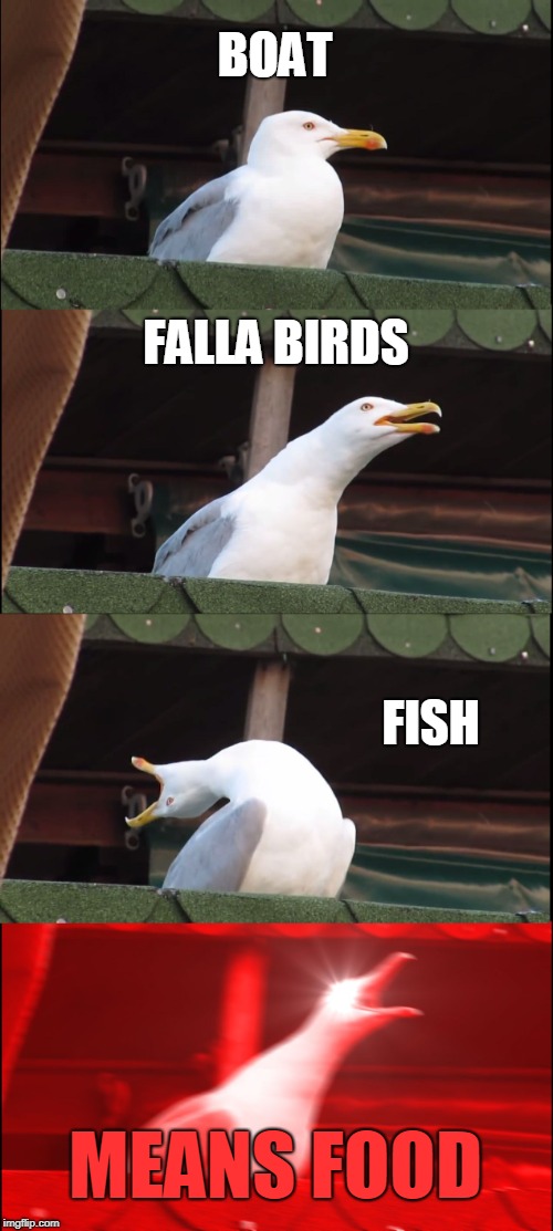 Inhaling Seagull Meme | BOAT; FALLA BIRDS; FISH; MEANS FOOD | image tagged in memes,inhaling seagull | made w/ Imgflip meme maker