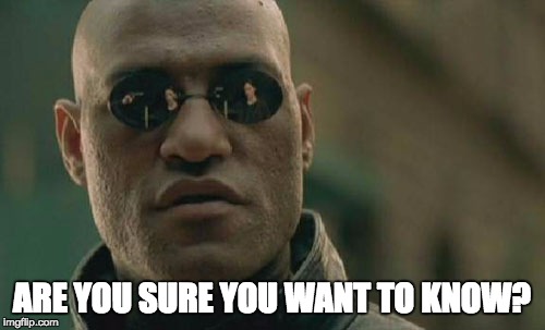 ARE YOU SURE YOU WANT TO KNOW? | image tagged in memes,matrix morpheus | made w/ Imgflip meme maker