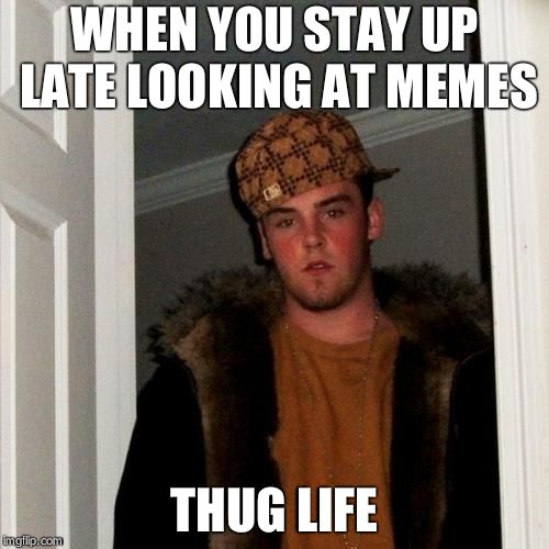 Scumbag Steve Meme | WHEN YOU STAY UP LATE LOOKING AT MEMES; THUG LIFE | image tagged in memes,scumbag steve | made w/ Imgflip meme maker