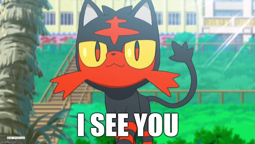 I see you | I SEE YOU | image tagged in i see you,litten | made w/ Imgflip meme maker